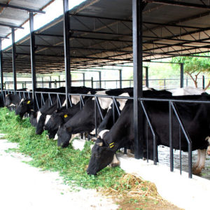 Dairy Farming Equipments