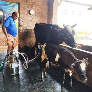 Milking Machine