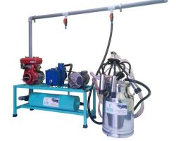 Dairy milking machine